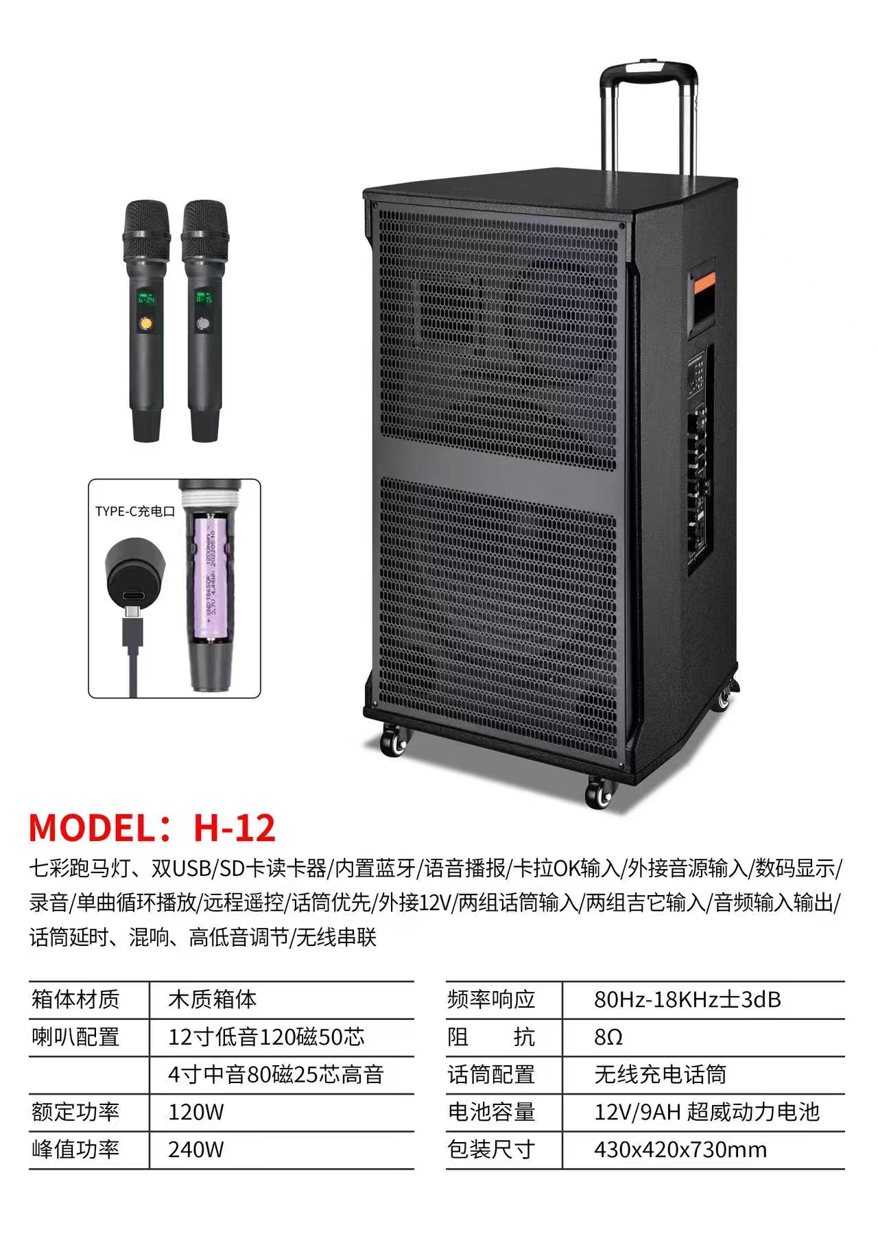 12-Inch Portable Outdoor Karaoke Speaker with Wireless Mic