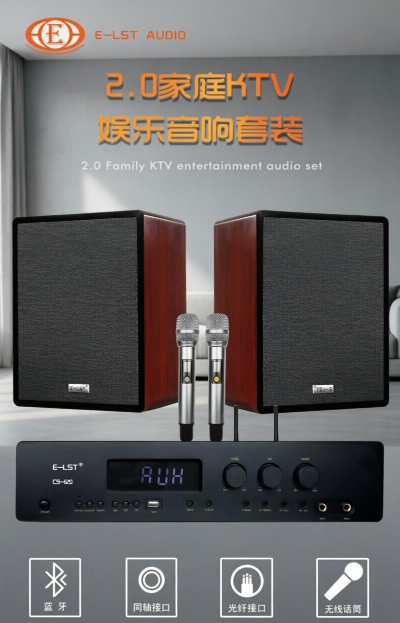 Professional 2.0 Wooden Cabinet Karaoke Speaker System