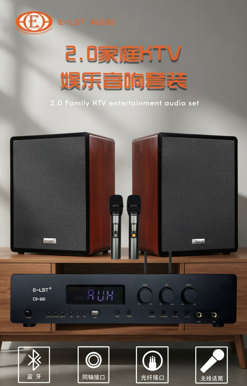 Professional 2.0 Wooden Cabinet Karaoke Speaker System